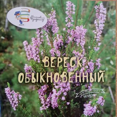  Савчук, С. С. Вереск обыкновенный : растение года Беларуси / С. С. Савчук, В. Н. Лебедько ; фото В. Н. Лебедько, С. С. Савчука, Д. В. Дубовика]. - Текст : непосредственный. - Минск : Беларусь, 2026. - 19, [4] с.. - (Маленький профессор)
