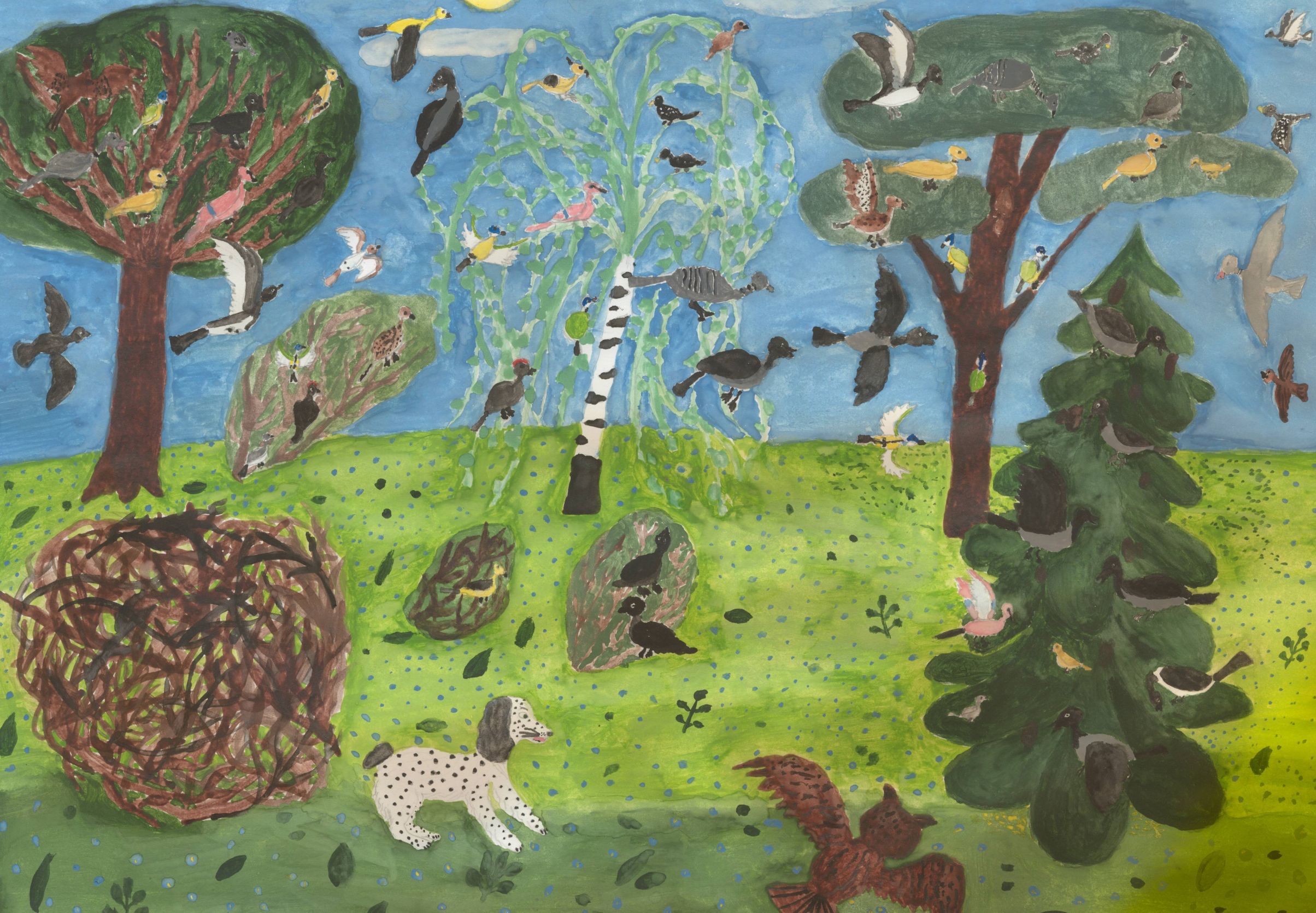 Карпенко Ангелина || Пришвин М.М. «Филин»