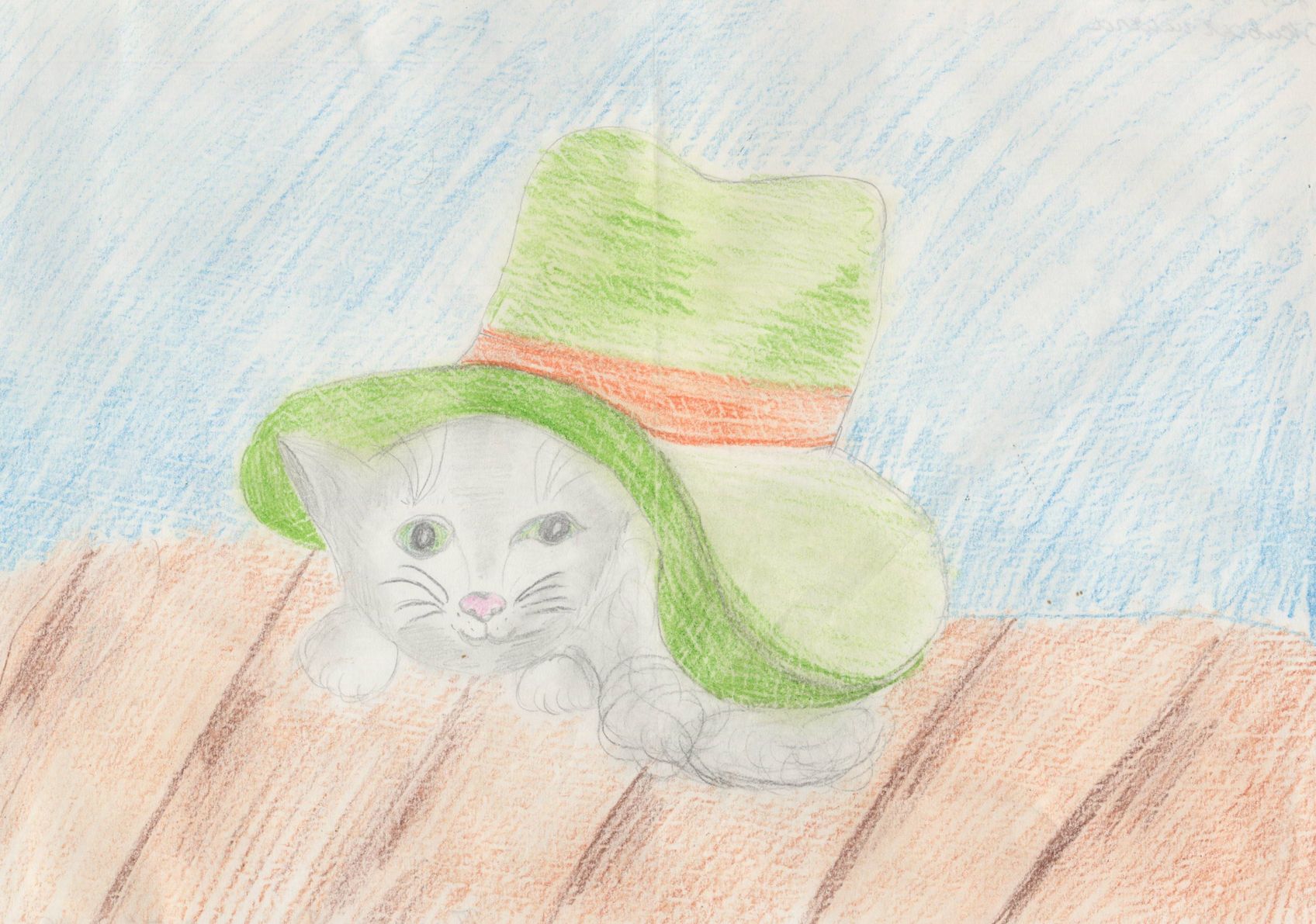 Тимченко Дарья Алексеевна || Носов Н.Н. «Живая шляпа»