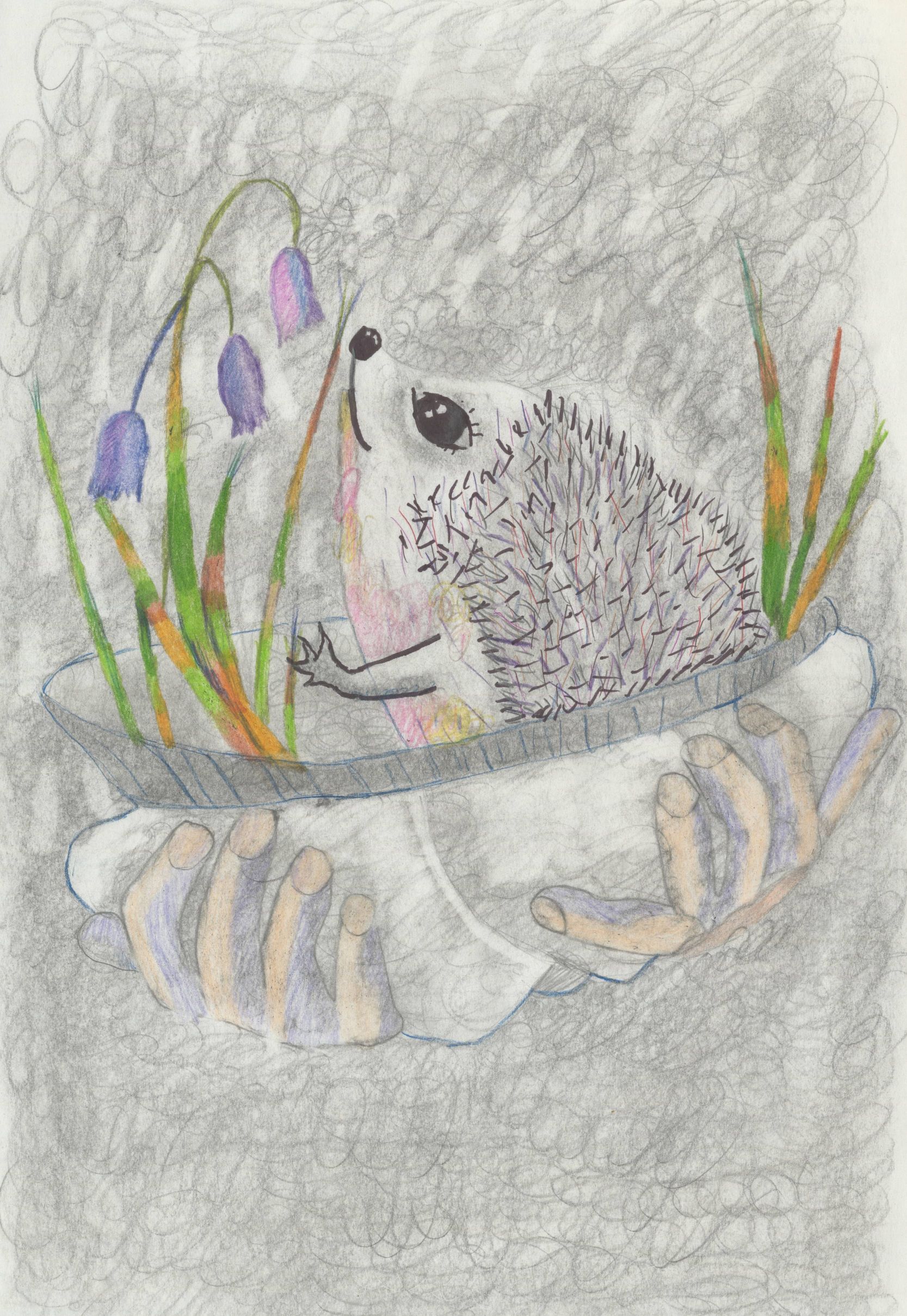 Шестерина Марина Сергеевна || Пришвин М.М. «Ёж»