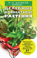 Каланхоэ – не простак, цветок в доме – добрый знак!