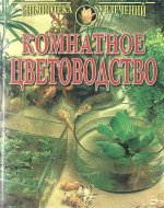 Амариллис на оконце разгорелся, будто солнце!