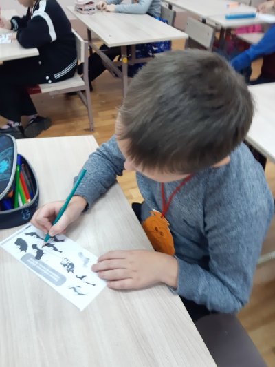 Есть такая земля – Антарктида