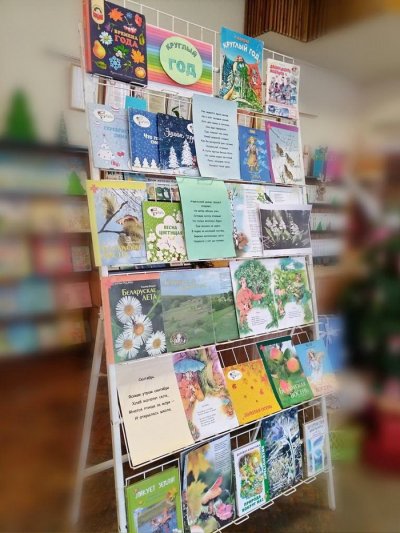 Круглый год