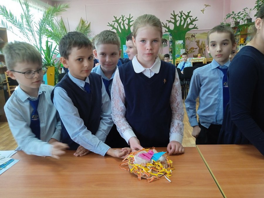 Пернатый мир природы