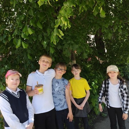 «Жители каштановой аллеи»