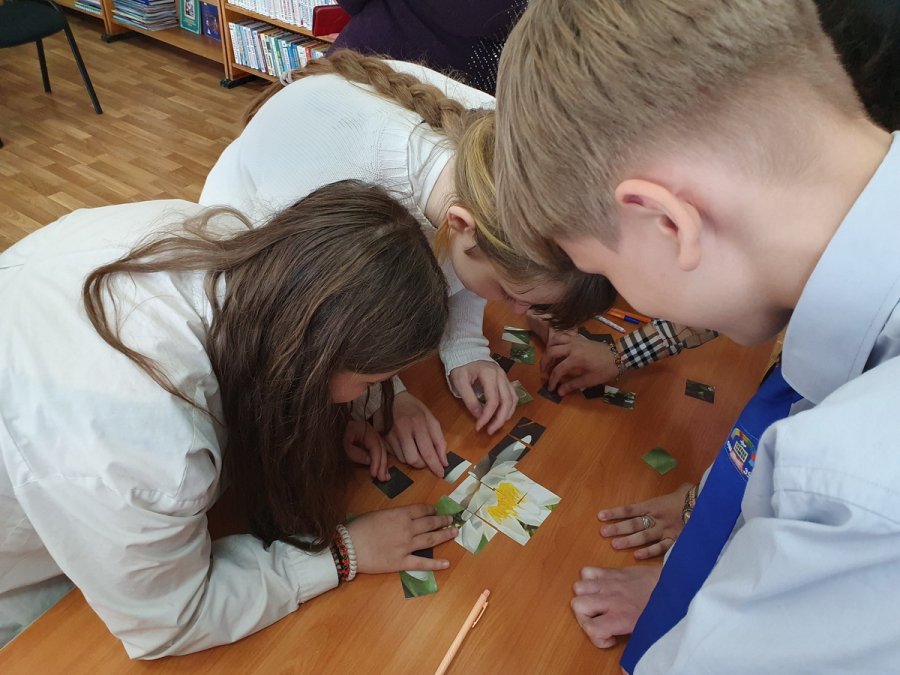 Удивительный мир растений