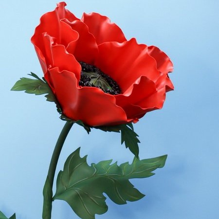 Только солнышко взойдет – мак на грядке расцветет