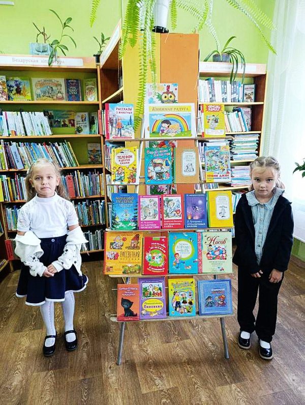 Библиотека. Библиотекарь. Книга.