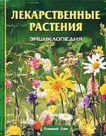 Король волшебных ароматов