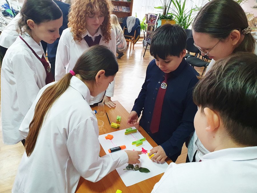 Вторая жизнь ненужных вещей