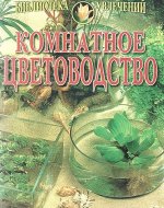 На окне в такую рань распустилася герань