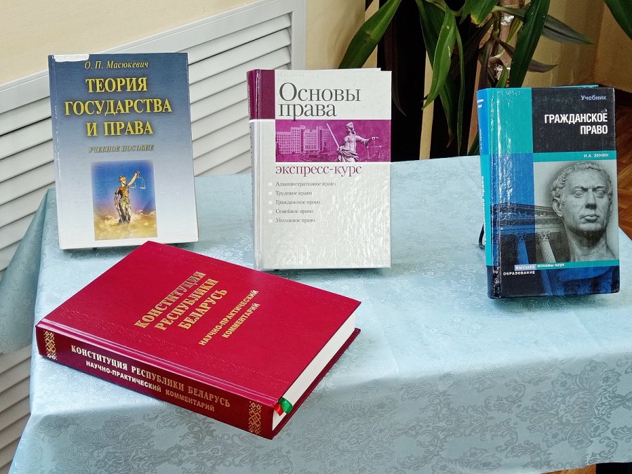 Мои права в обществе и государстве