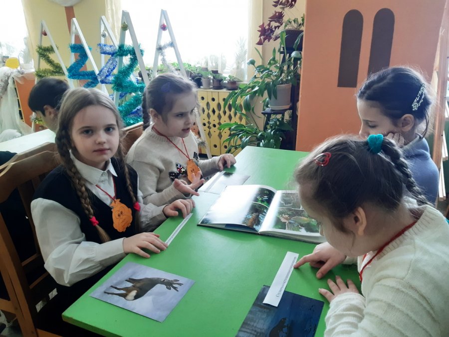 7 чудес Беловежской пущи