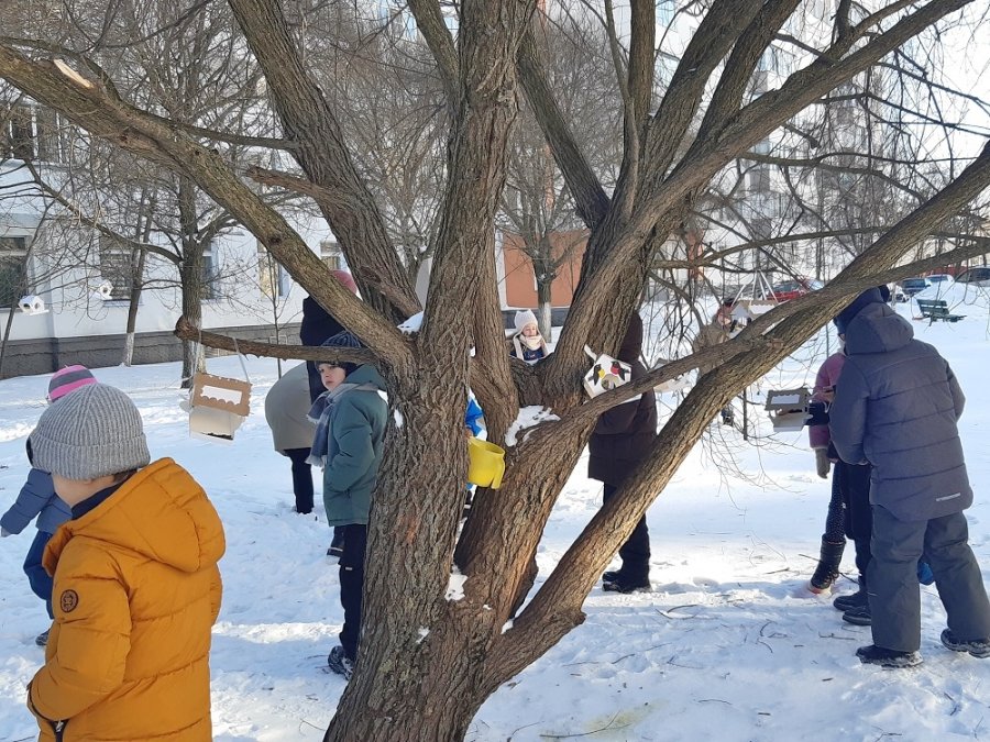 Покормите птиц зимой!