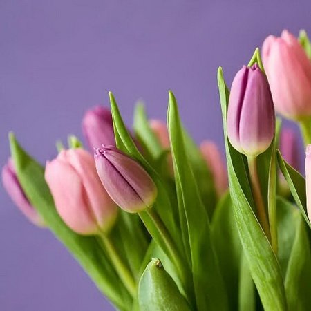 Поздравляем с Днём женщин!