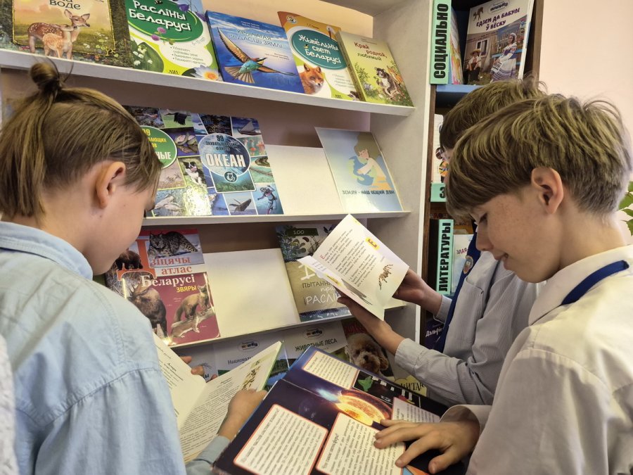 Экологический калейдоскоп