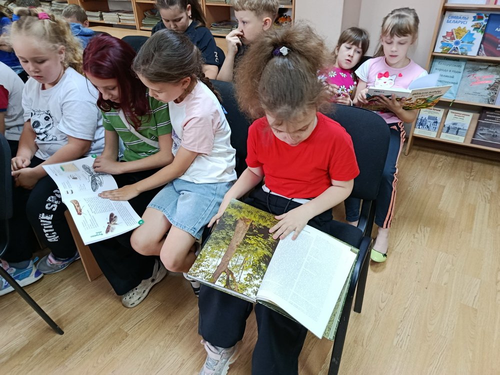Ты и лес